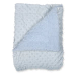 dotted blanket with Sherpa backing blue  bear