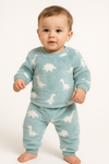 winter pyjama coral dyno soar green