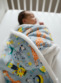 Little Celebrity Baby Boy gray  girrafe