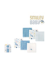 washcloth 6pcs Bp61210